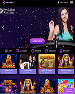 Casino Bit screenshot