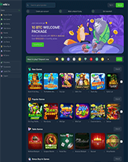 Wild.io Casino screenshot