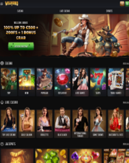 Wildsino Casino screenshot